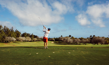 Image for Titleist Performance Institute (TPI)