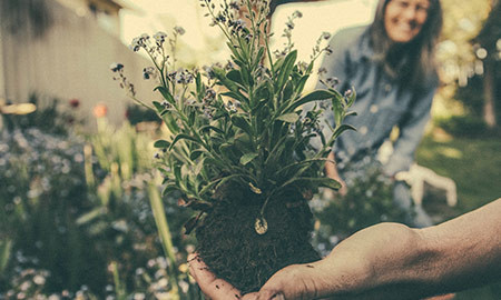 Image for post Gardening Safety Tips